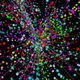 Illustration for article titled It's Higgs Day!